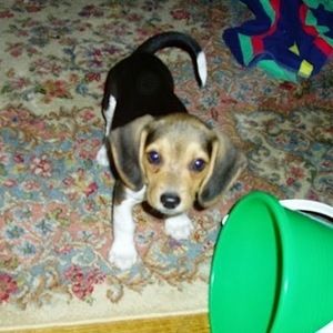 Meet your Posher, Sam